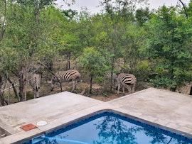 Kruger National Park South Accommodation at Lionsview Private Lodge - 4 Lions, 4 Sleeper | Viya