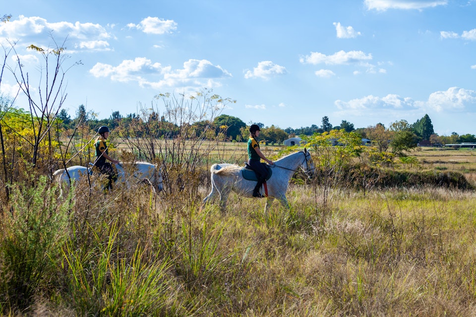 Cradle Of Humankind Accommodation at  | Viya