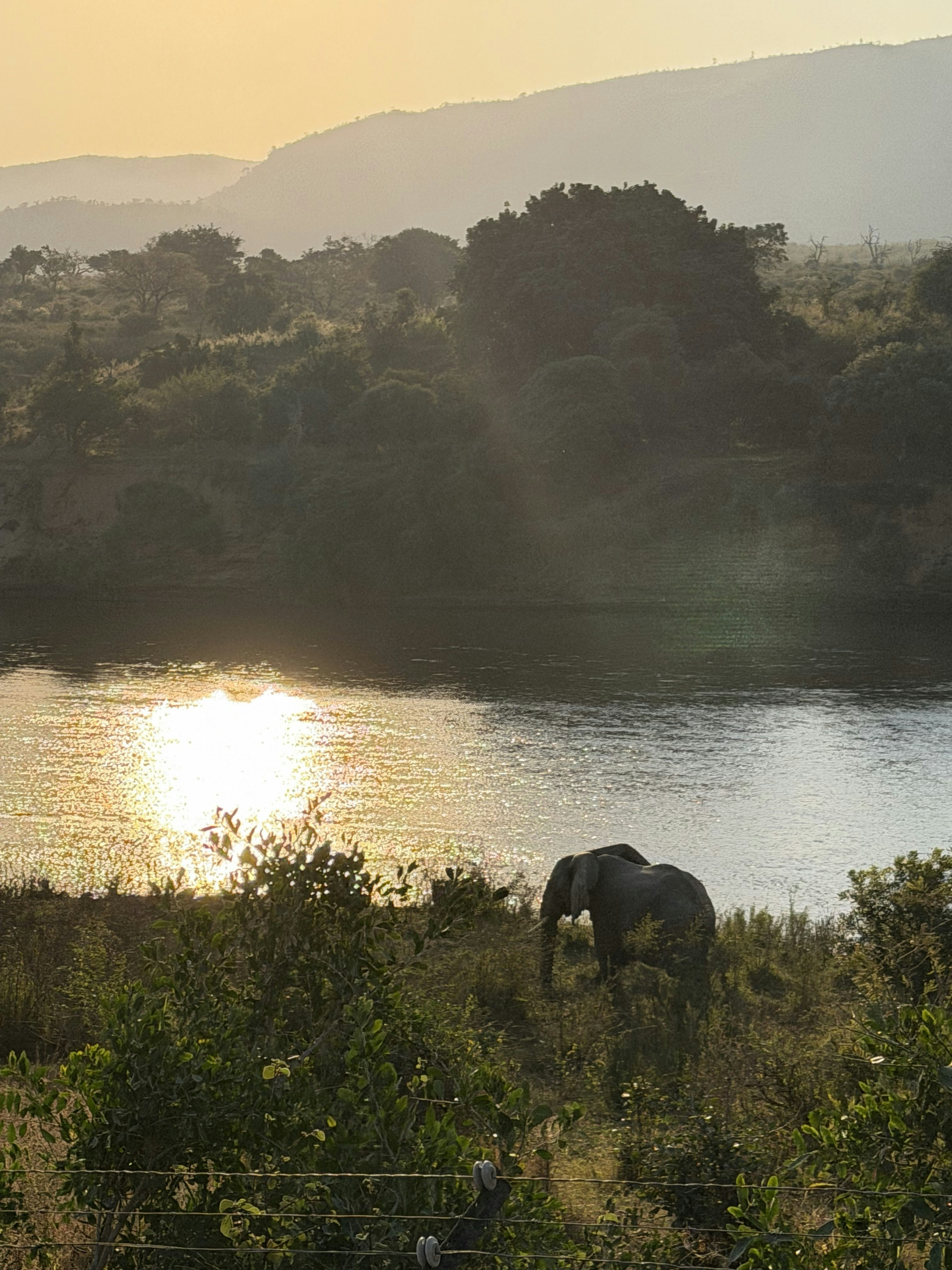 Kruger River and Rail Cottage image no 26 of 28