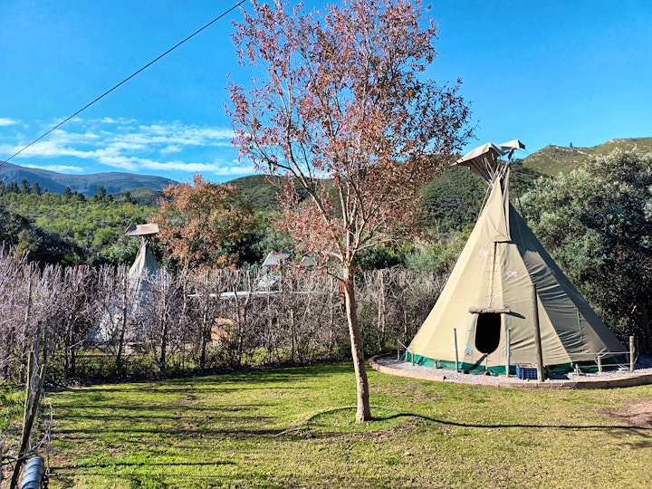 Western Cape Accommodation at Lancewood TiPi Lodge | Viya