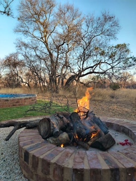 Dinokeng Game Reserve Accommodation at Cikeru Bush Camp - Zebra | Viya