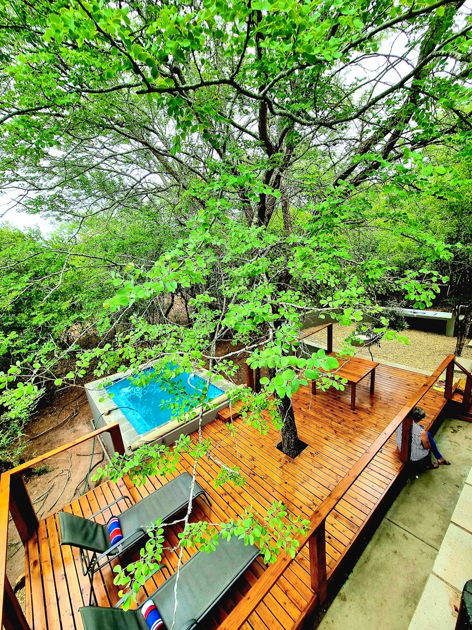 Kruger National Park South Accommodation at  | Viya