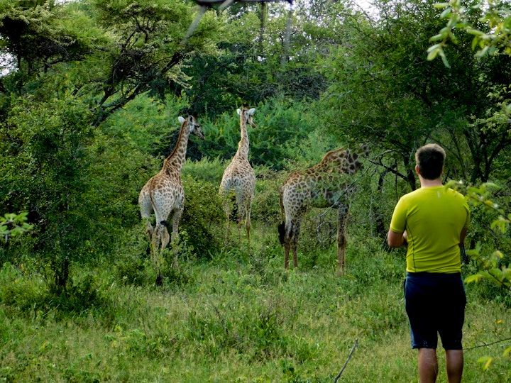 Kruger National Park South Accommodation at Adventure Bush House II | Viya