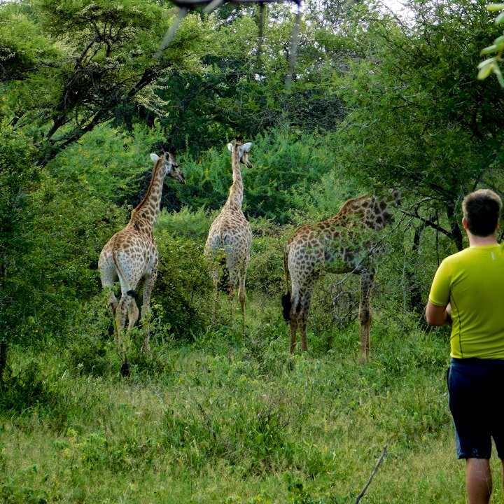 Kruger National Park South Accommodation at Adventure Bush House II | Viya