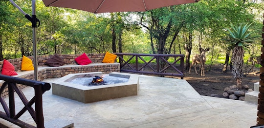 Kruger National Park South Accommodation at  | Viya