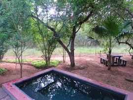 Kruger National Park South Accommodation at  | Viya