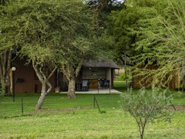 Dinokeng Game Reserve Accommodation at Wild and Water | Viya