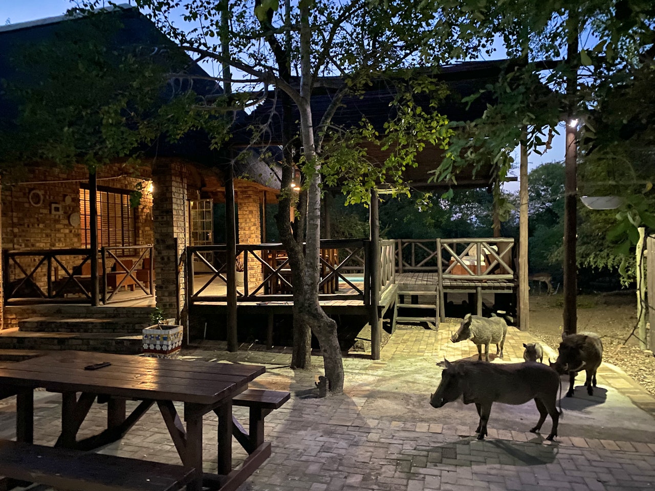 Kruger National Park South Accommodation at  | Viya