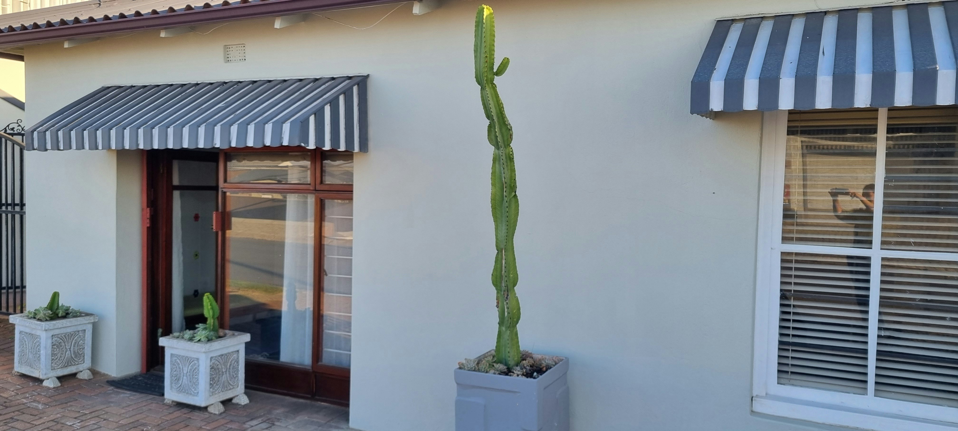 Santos Casita image no 4 of 15