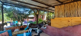 Hoedspruit Accommodation at Shik Shack | Viya