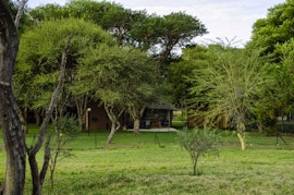 Dinokeng Game Reserve Accommodation at Wild and Water | Viya