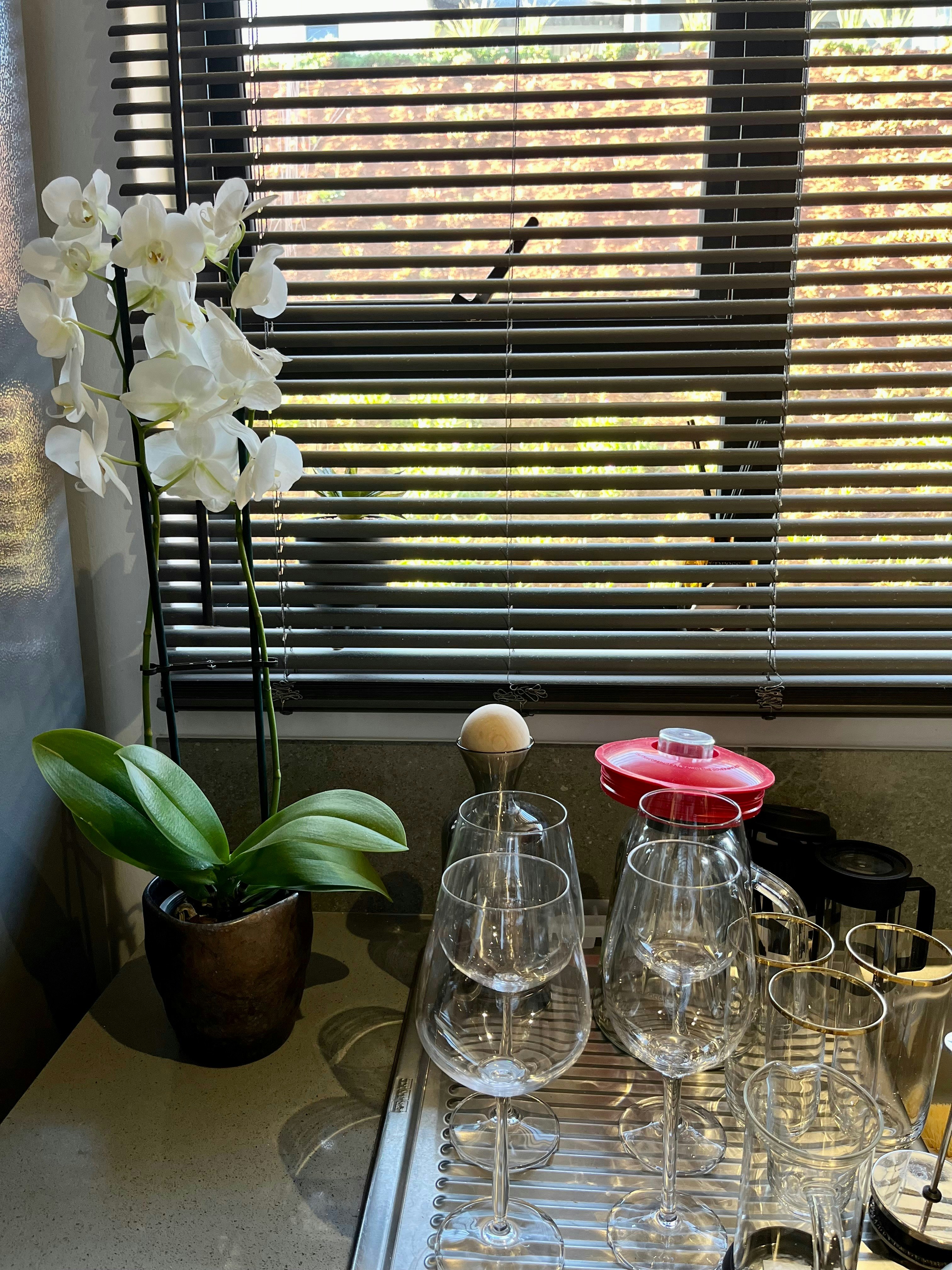 Cosy 2-bedroom Apartment in Hilton, Pietermaritzburg image no 10 of 19