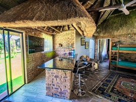 Dinokeng Game Reserve Accommodation at  | Viya