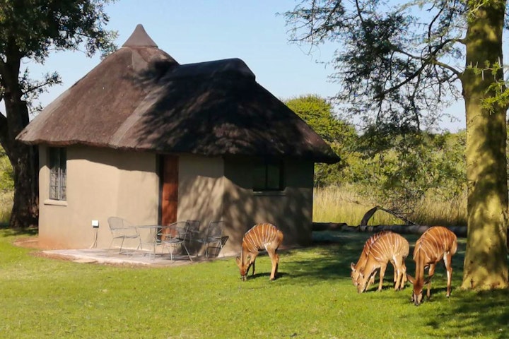 Limpopo Accommodation at Ebenhaeser Oornag Akkommodasie | Viya