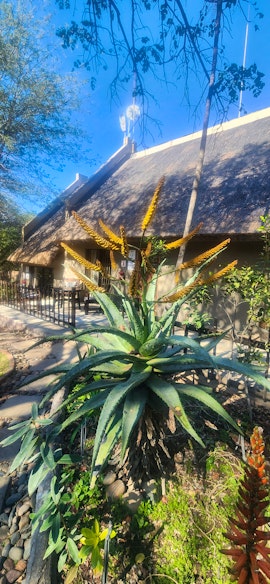 Kruger To Canyons Accommodation at  | Viya