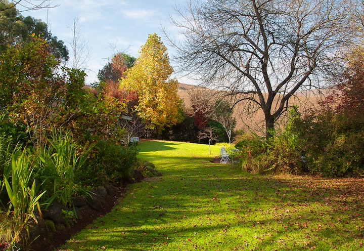 Drakensberg Accommodation at Birches Cottage & Willows Garden Room | Viya