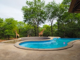 Kruger National Park South Accommodation at Pata Pata House | Viya