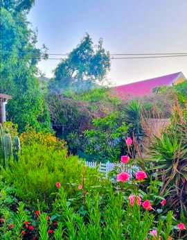 Overberg Accommodation at Orange Blossom Guest House | Viya