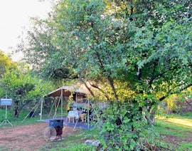 Dinokeng Game Reserve Accommodation at  | Viya