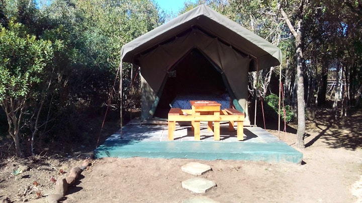 Kruger To Canyons Accommodation at Little 5 Camp | Viya