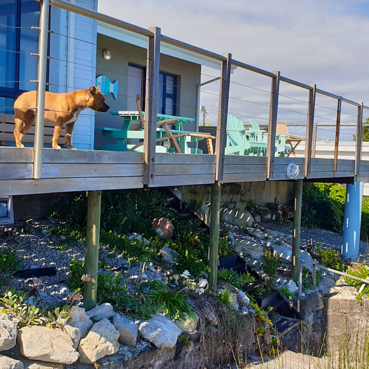 Overberg Accommodation at 180 Degrees Ocean Experience | Viya