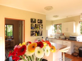 Garden Route Accommodation at Rest Inn Knysna | Viya