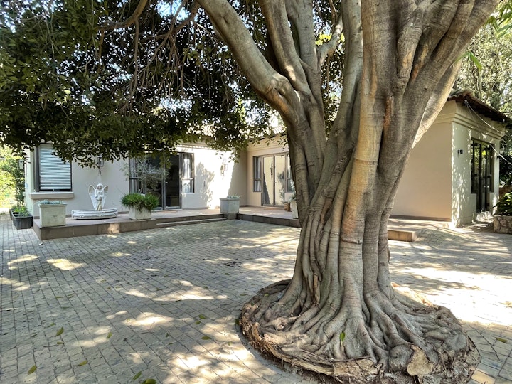 Johannesburg Accommodation at PepperTree | Viya