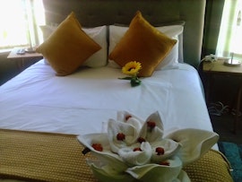 Karoo Accommodation at Victoria Oaks Guest House | Viya