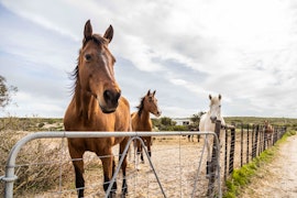 West Coast Accommodation at Blombosch Game Farm | Viya