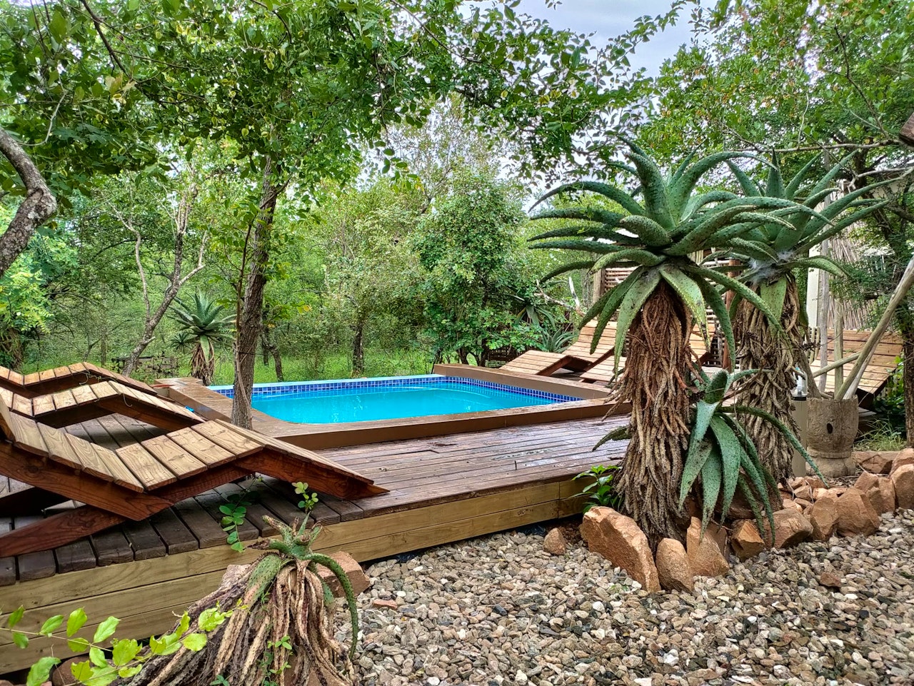 Kruger National Park South Accommodation at  | Viya