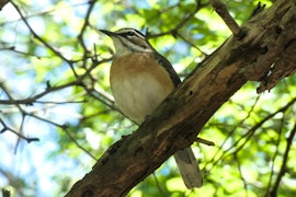 Kruger National Park South Accommodation at Weltevrede Lodge | Viya