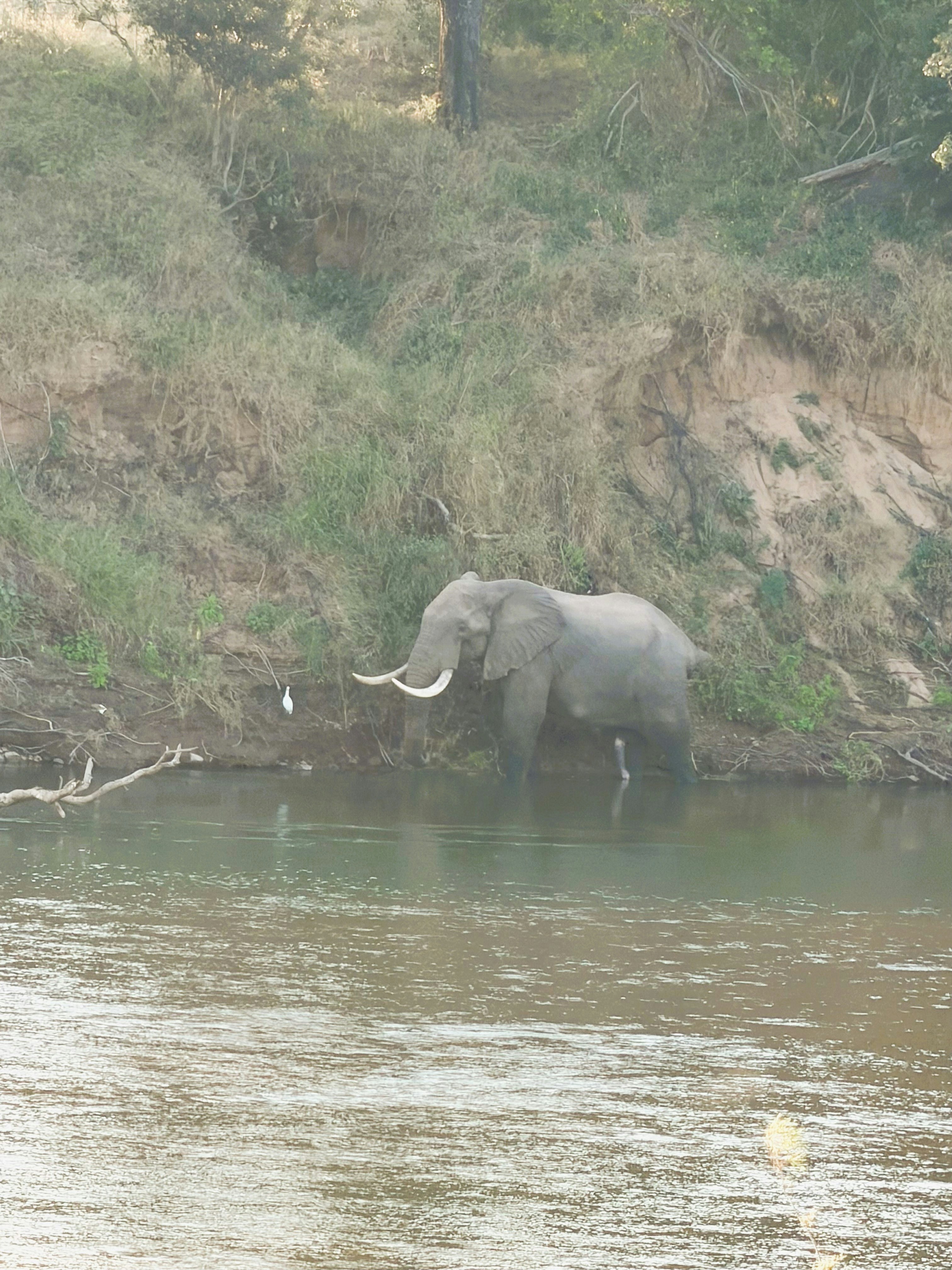Kruger River and Rail Cottage image no 27 of 28