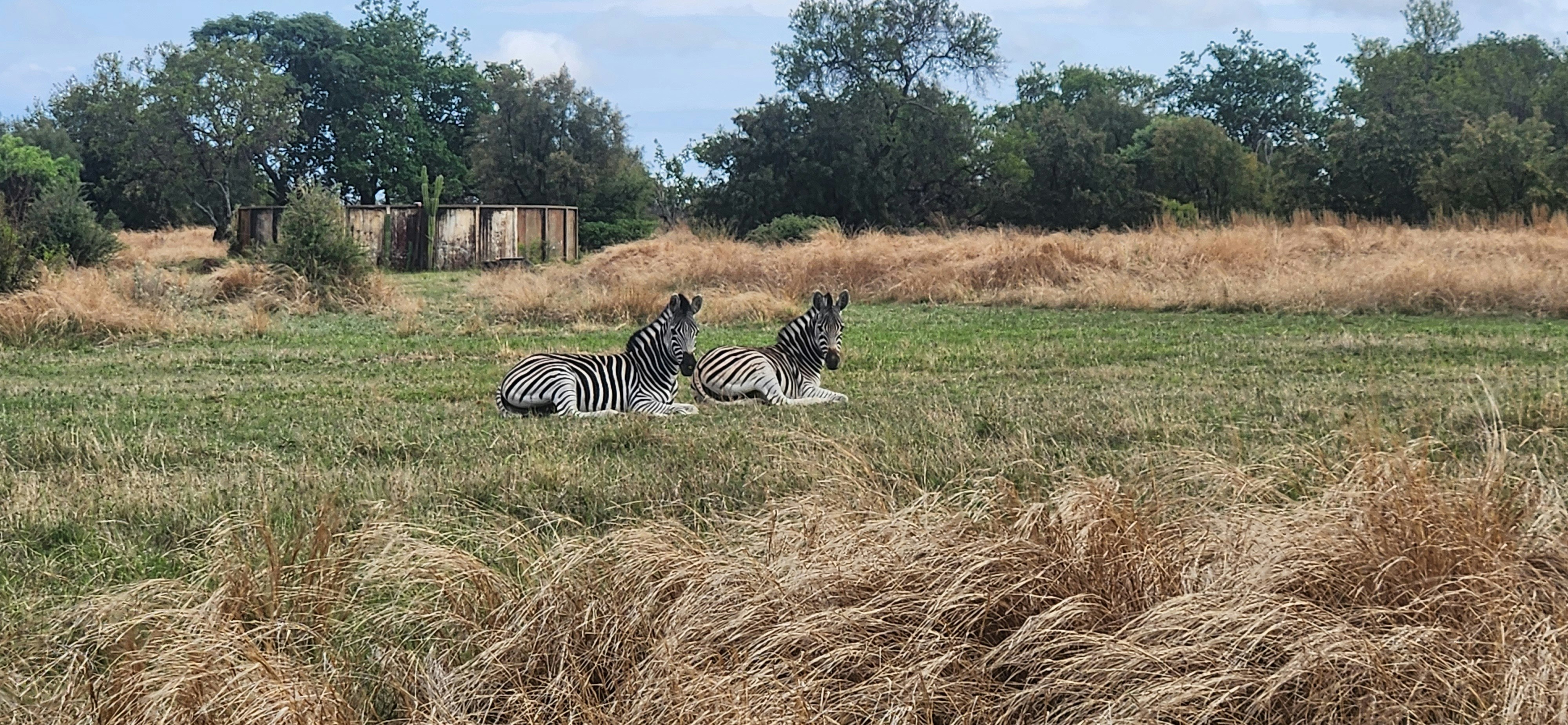 Phangwa Bush Camp image no 1 of 29