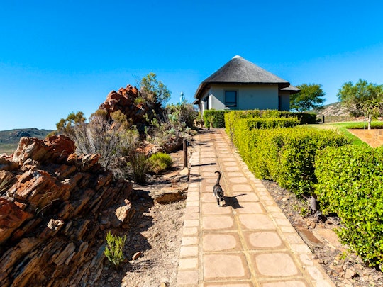 Western Cape Accommodation at  | Viya