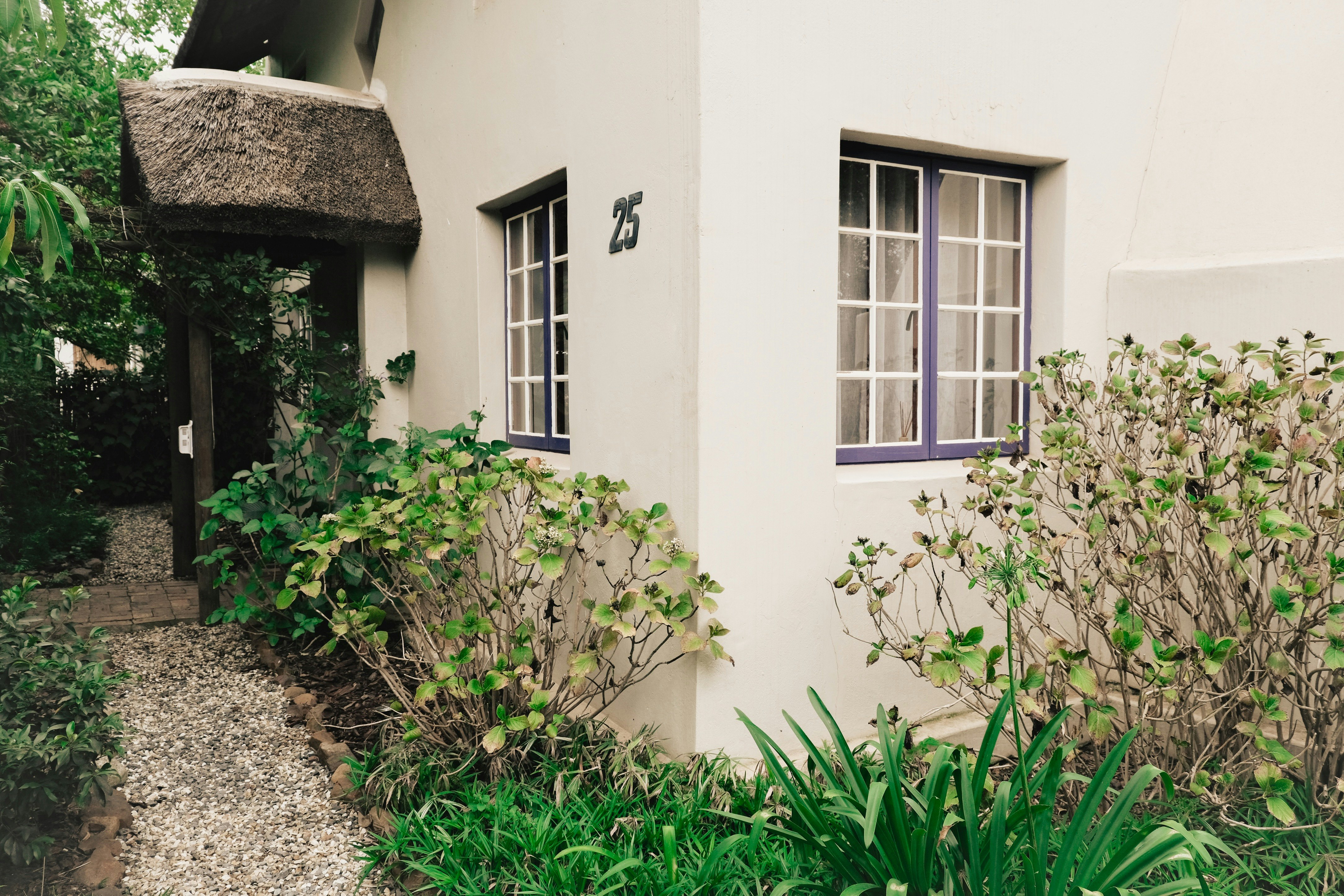 The Little Thatch Cottage image no 25 of 27