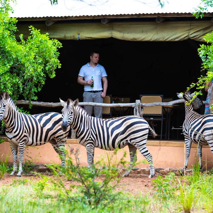 KwaZulu-Natal Accommodation at Leopard Walk Lodge | Viya