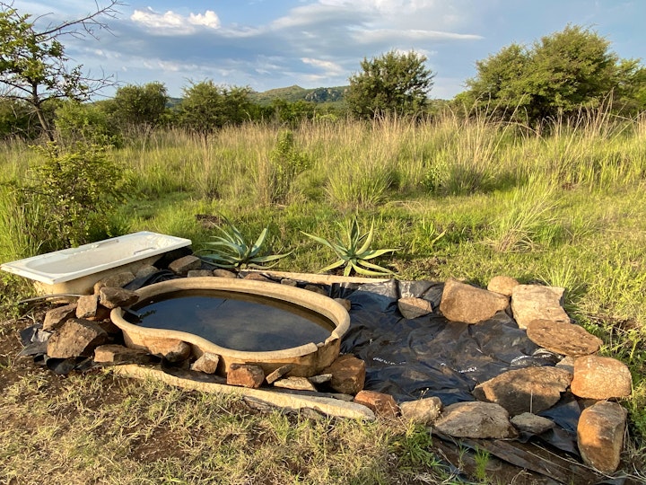 Mpumalanga Accommodation at Plaas Paardebloem | Viya