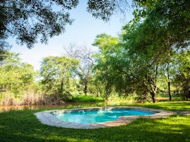 Limpopo Accommodation at Predator Track | Viya