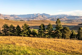 Drakensberg Accommodation at  | Viya