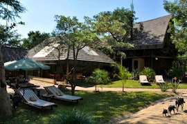 Hoedspruit Accommodation at Pezulu Tree House Lodge | Viya