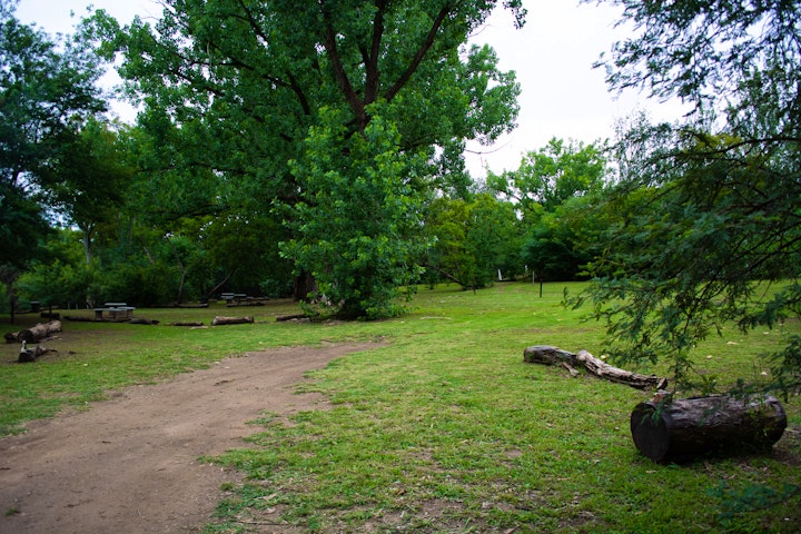 Cradle Of Humankind Accommodation at The Crooked Tree | Viya