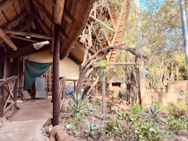 Kruger National Park South Accommodation at Nyala Luxury Safari Tents | Viya