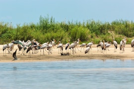 Namibia Accommodation at Zambezi Mubala Camp | Viya