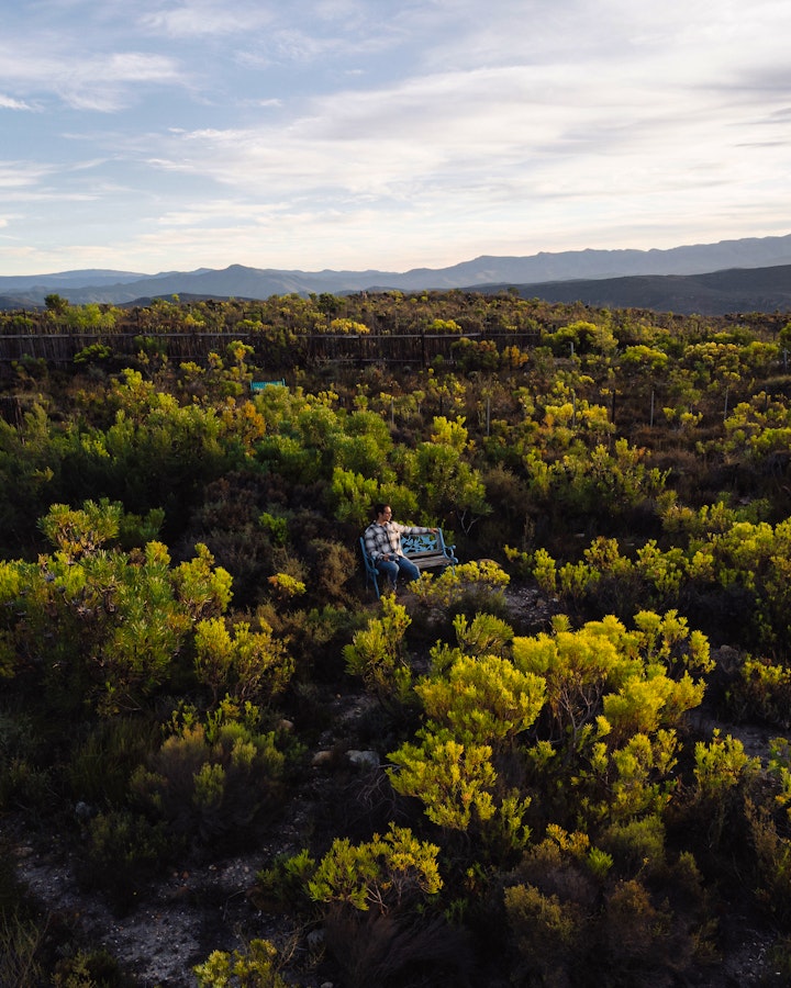 Western Cape Accommodation at Starry Starry Night | Viya