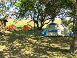 KwaZulu-Natal Accommodation at The Campsites @ Kosi Bay Casitas | Viya