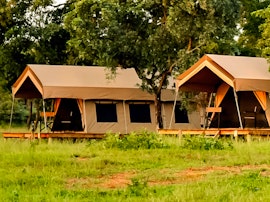 Wild Frontier Accommodation at  | Viya