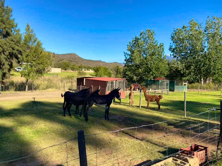 Western Cape Accommodation at Glen Eden Farm Guest Cottages | Viya