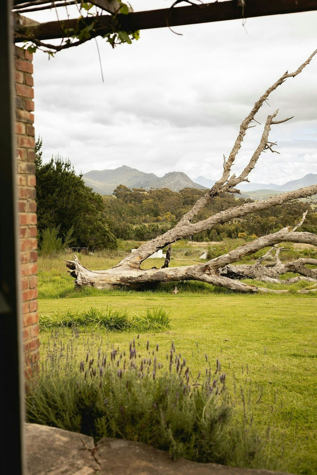 Boskloof Farm Escape image no 4 of 30