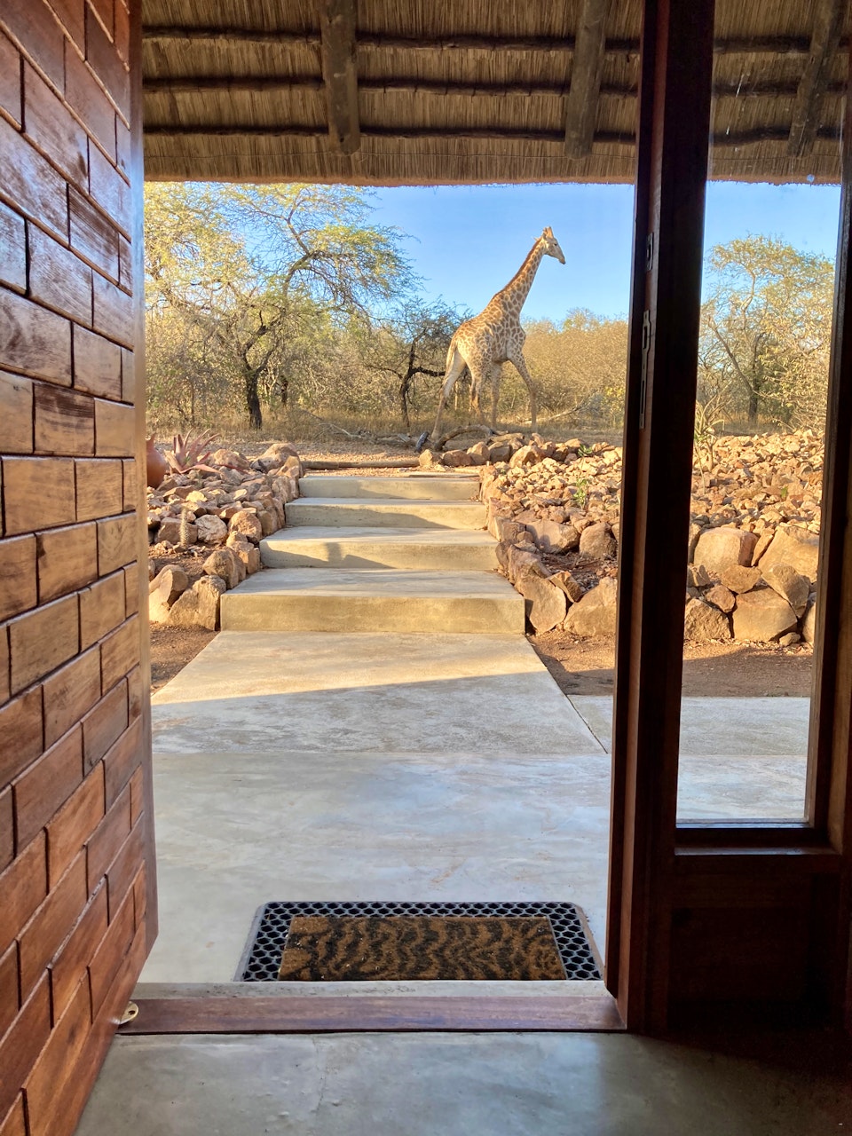 Kruger National Park South Accommodation at  | Viya