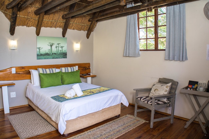 Eastern Cape Accommodation at The Birdhouse | Viya